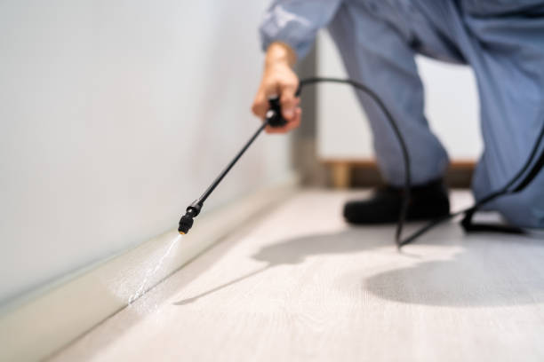 Licensed Fumigation Services service in Edwardsville, IL - Nex Pest Control