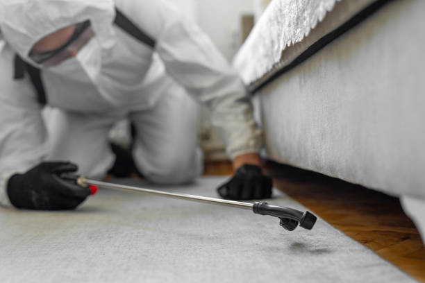 Professional Fumigation Services technician working in Edwardsville, IL