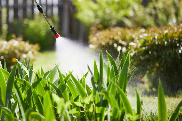 24/7 Emergency Fumigation Services experts in Edwardsville, IL