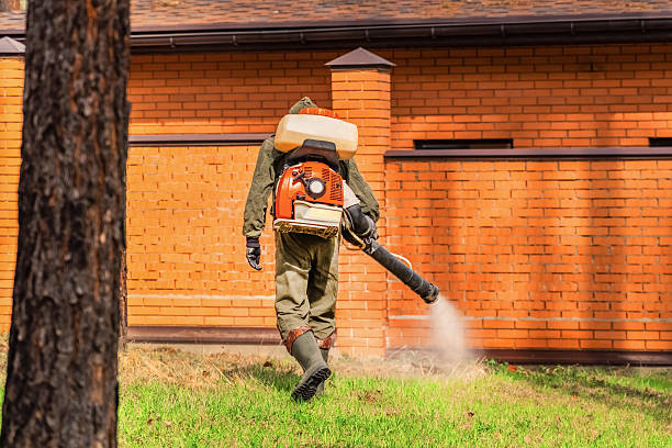 Trusted Cockroach Control service in Edwardsville, IL - Nex Pest Control